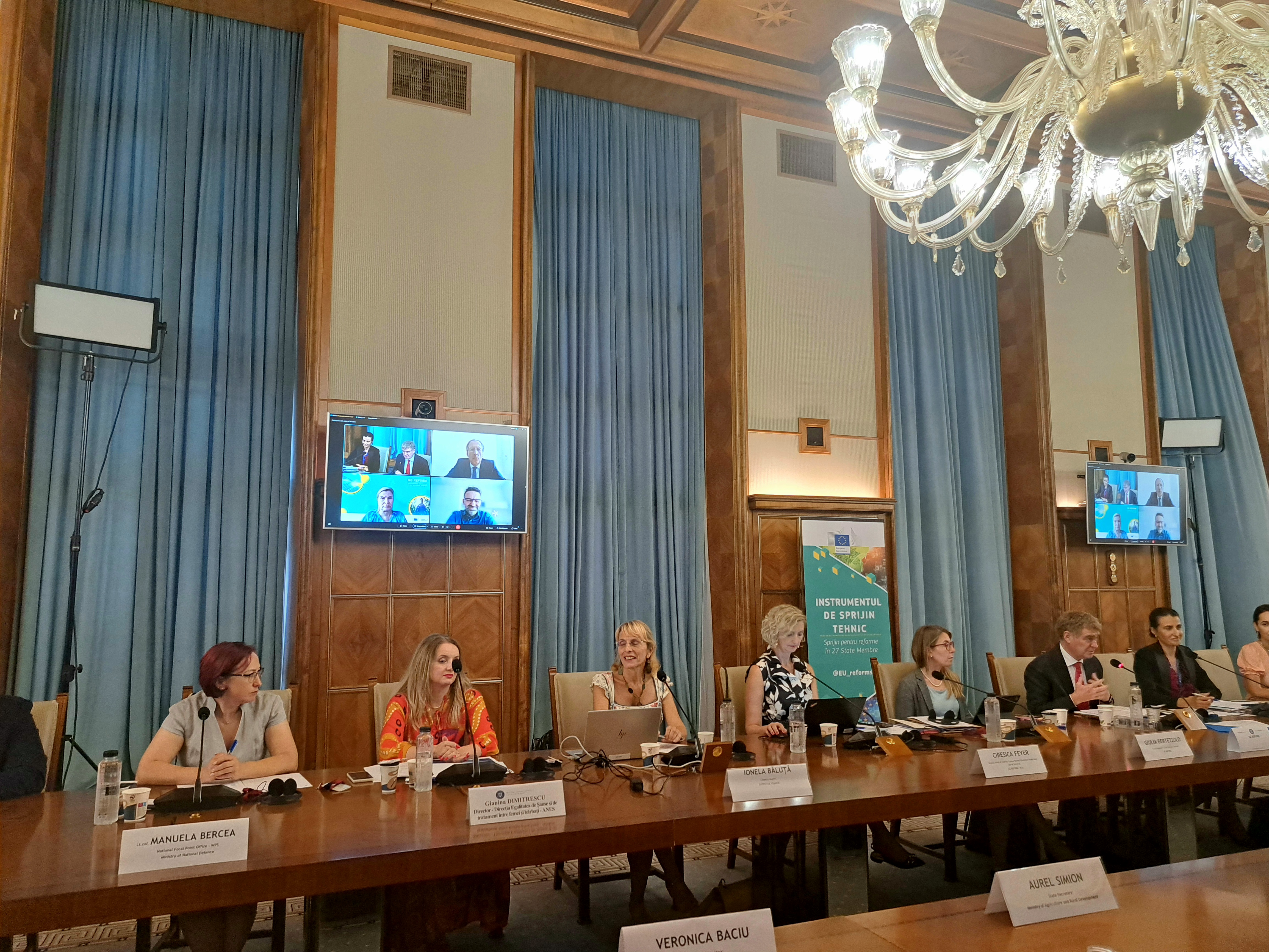 Gender mainstreaming in public policy and budgeting, 18 Jul. 2023